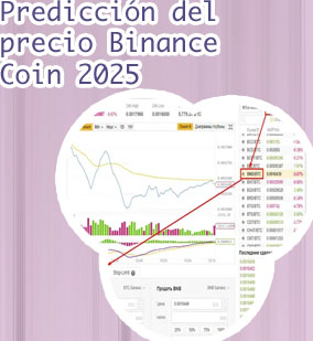 Binance coin precio