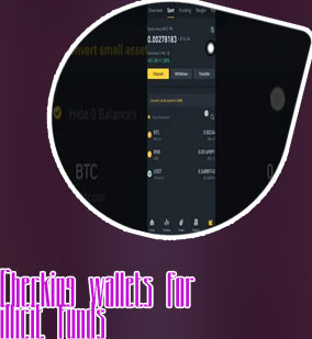 Btc check balance