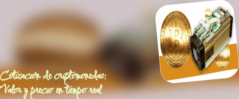 Criptomonedas con mayor valor