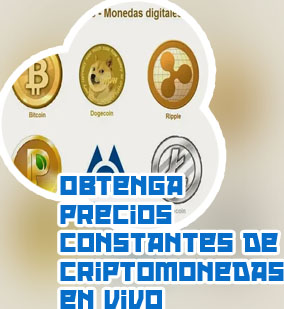 Criptomonedas valor grafico