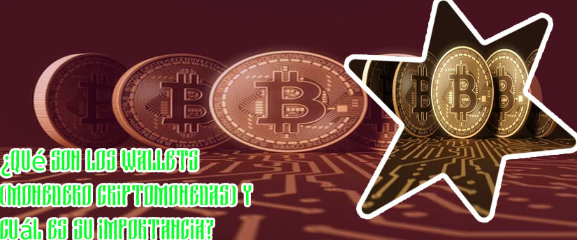 Monedero virtual para criptomonedas