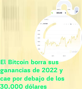 Precio maximo alcanzado por el bitcoin